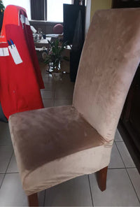 Johan Van Den Haute review image